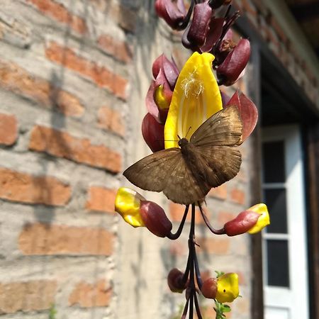 Siete Hierbas Hostal Santa Rosa de Cabal Zewnętrze zdjęcie